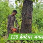 मुड़ागांव में कोल ब्लॉक और जंगल कटाई: केंद्र सरकार की भूमिका पर सवाल, ग्रामीणों का विरोध तेज
